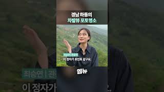 여기서 사진 찍으면 인생샷 !!