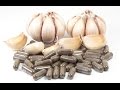 The Undeniable Benefits of Garlic