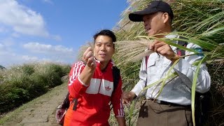 台灣心動線 HD—戀上台灣系列 第27集﹍ 陽明山好芒-陽明山國家公園 〈台灣旅遊〉