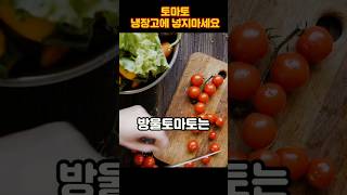 토마토 냉장고에 넣지마세요!