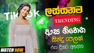 2025 Trending Band Song Sinhala (අලුත් සින්දු 2025) Tik Tok Viral Sinhala Songs 2025 | Sinhala Sindu