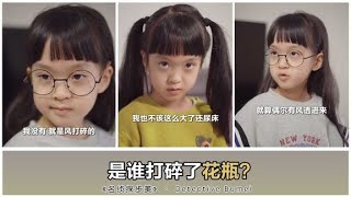 只有妹妹在家，但她坚持说自己没打碎花瓶，真相到底是什么？