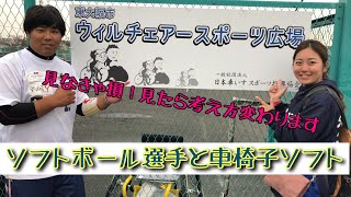 【車椅子ソフトボール】ソフトボール選手に話を聞いてみた