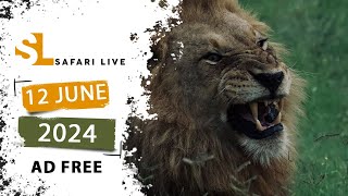 SafariLIVE Sunrise - 12 June 2024 -  AD FREE