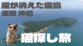 猫が消えた猫島で猫探し【俳諧】滋賀沖島の現状