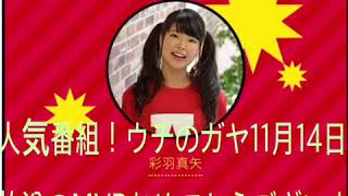 彩羽真矢 祝 ウチのガヤMVP!! 〜love on the line〜