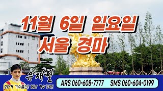 [서울경마] 제18회 농협중앙회장배(L)/2022년 11월 6일 일요경마~!