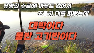 어마어마하게 올라탄 붕어떼//산란기보다 더 #fishing #붕어낚시