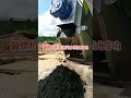 sludge screw press successful commissioning of septic tank sewage dewatering equipment