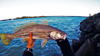 Mulloway break wall session