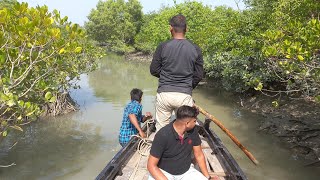 সুন্দরবনের জঙ্গলে বাঘ দেখতে গিয়ে কি অবস্থা হলো দেখুন।ভয়ে সবাই কাঁপছে।