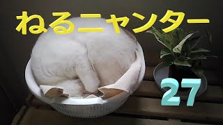 ねるニャンター27   sleeping japanese cats27　　자는 일본 고양이27