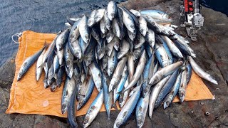 【男女群島】船代70万の宝礁で30キロのサバをエサに幻の大物を狙う！【男女群島＆肥前鳥島2泊３日＃１】