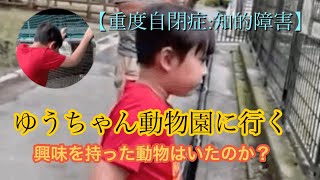 【重度自閉症:知的障害】７歳ゆうちゃん動物園に行く！ゆうちゃんはどんな動物に興味を持ったのか？動物より好きなものが？Japanese Autism Intellectual disability