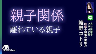 親子関係離れている親子　よく当たる　タロット占い