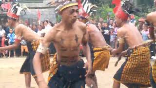 #budaya #sukusuku Permainan Rakyat Manuk Manuk, Seru Habis Lihat Ini Sahabat Budaya