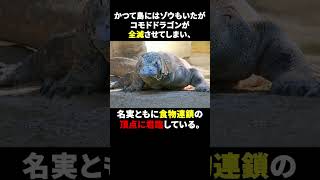 【ゆっくり解説】伝説の生物であるトカゲコモドドラゴンについてこっそり教えます