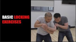 Basic Locks and Throws  - Adam Chan - Kung Fu Report