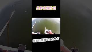 長野県諏訪湖ボートワカサギ釣り！大漁#shorts