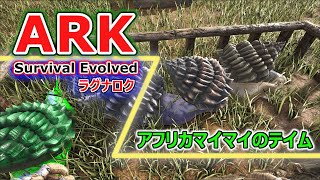 【ARK Steam版】アフリカマイマイのテイム  Ragnarok ラグナロク【ARK: Survival Evolved】恐竜サバイバル