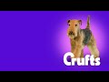 obedience dog championship part 1 crufts 2018