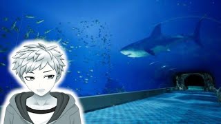 水族館の中で起きる怪異現象が起きるホラーゲーム【8月32日】