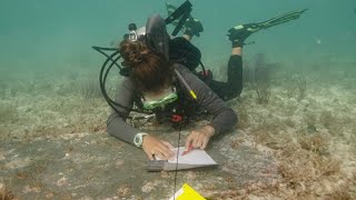 Clarks Summit native makes historic discovery