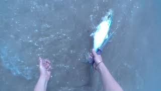 Jetty Fishing- South Padre Island- Spanish Mackerel + Snapper catch, clean, and cook