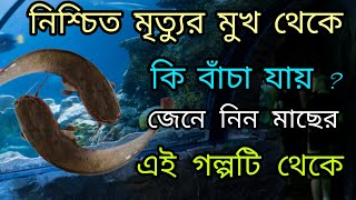 নিশ্চিত মৃত্যুকেও এড়ানো যায় ? শিখে নিন এই গল্পটি থেকে || How to Handle Tough Times in Life ? #story