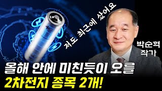 박순혁도 담았다! 남은 2024년 안에 미친듯이 오를 2차전지 배터리주 2가지 종목! (박순혁 작가 5부)