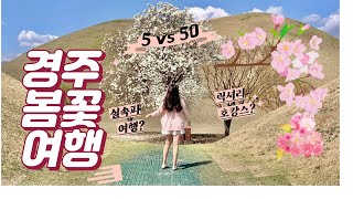 [5vs50] 경주 봄꽃여행 🌸 봄바람 휘날리며 흩날리는 벚꽃 잎이 울려퍼질 경주의 거리를 함께 걸어요!