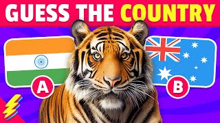 Guess The Country by The National Animal 🐼🐯🦈