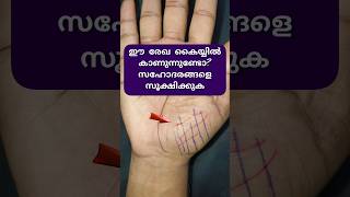 ഈ രേഖ കണ്ടാൽ സഹോദരങ്ങളെ സൂക്ഷിക്കുക..! Hidden secret on your hand. #shorts