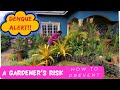 Maximizing your garden's potential :  Dengue prevention gardening tips ||JAMAICA||