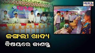 ଜଙ୍ଗଲୀ ଖାଦ୍ୟ ବିଷୟରେ ଜାଣନ୍ତୁ | Odia News Live Updates | Latest Odia News | Samayalive