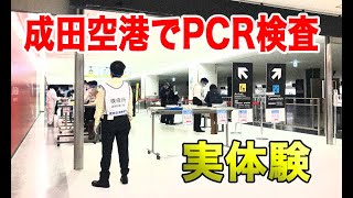 日本の成田空港に帰国してPCR検査を受け、自宅やホテルまで移動する流れ