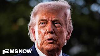 'OBVIOUSLY illegal': Ex-Trump staffer SHREDS Trump's $1.8B fund, says it'll be 'DECIMATED' in court