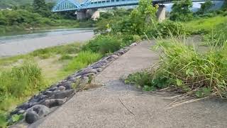 道の駅、白山(しらやま)さんから真夏の手取川のせせらぎ