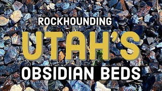 Rockhounding Utah's Black Rock Desert for Obsidian!