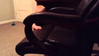 Vinnie pro chair spinner