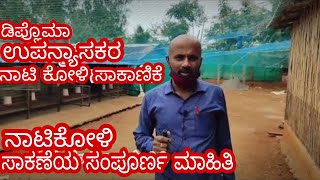 ನಾಟಿ ಕೋಳಿ ಫಾರ್ಮ್ ಲಭವೋ ನಸ್ಟವೋ  | malavalli | nati koli form loss or profit |real nati koli farm