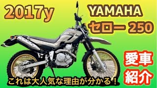 【セロー250】愛車紹介！これはいい！