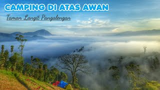 CAMPING DI ATAS AWAN, TAMAN LANGIT PANGALENGAN YANG SEDANG VIRAL...