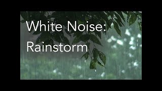 Rain Sounds for Relaxing, Focus or Deep Sleep _ Nature White Noise _ 8 Hour Video