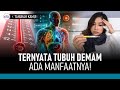 5 Fakta Menarik Tubuh Manusia, Ternyata Ini Manfaat Demam! | Hidup Sehat tvOne