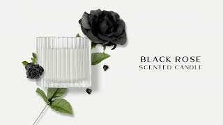 Black Friday Sales......DON'T MISS OUT!