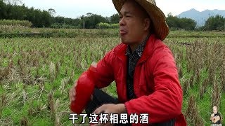 哥翻唱一首醉相思，唱的這個聲音真的是不可思議啊！ 【桂平光哥】