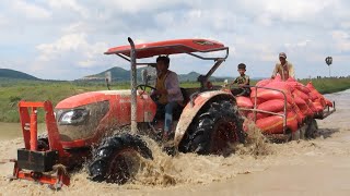 TractorM6040SU And Combine Harvester Work On Farm | Tractor Equipment On Farm