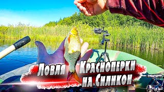 Поиск и ловля красноперки на силиконовые приманки