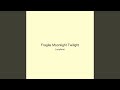 Fragile Moonlight Twilight